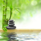 zen basalt stones and bamboo with dew